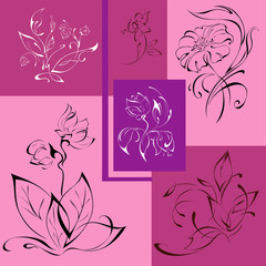 flowers 5. SET. stylized flowers on a colored background