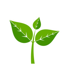 Green plant icon
