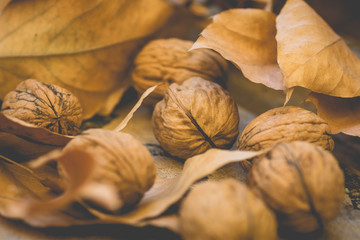 Whole walnuts scattered on wood surface, yellow and brown dry autumn leaves, harvest, thanksgiving, halloween, tranquil cozy atmosphere