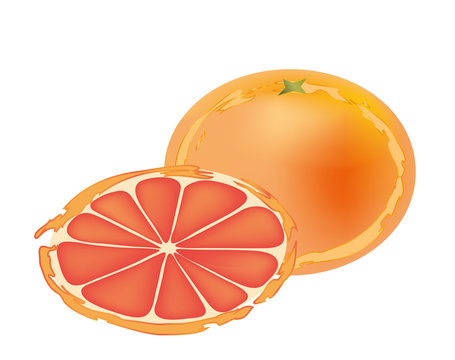 Grapefruit and a slice of cross section