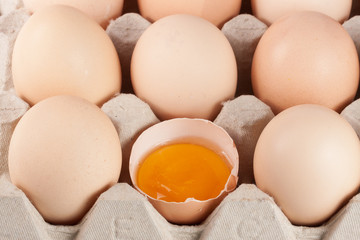 Eggs in the tray as a background