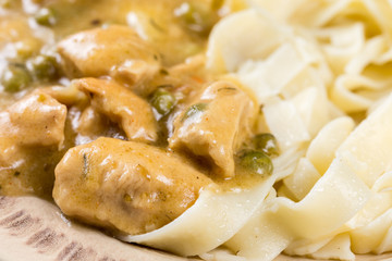 White chicken meat with sauce on the plate in closeup macro.