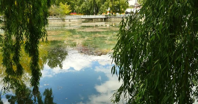 4k Potala reflection on lake in Lhasa park,Tibet.lake with willow.