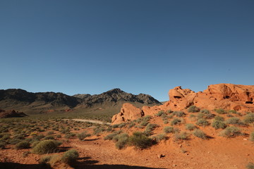 Road through the Arizona Canyon