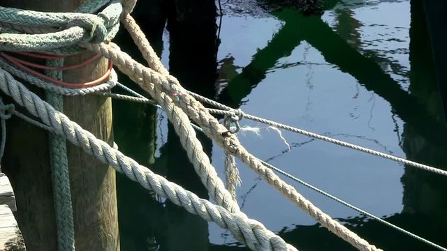 Bow lines of fishing boats tied to dock pylons on sunny spring morning at harbor marina on cape cod