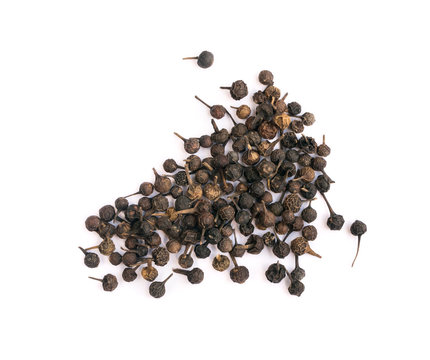 Piper Cubeba Or Cubeb