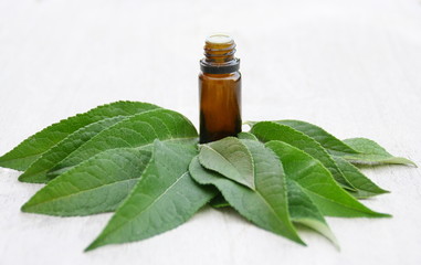 flacon d'huile essentielle de feuilles vertes bio 