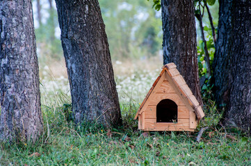 Wooden dog house among trees