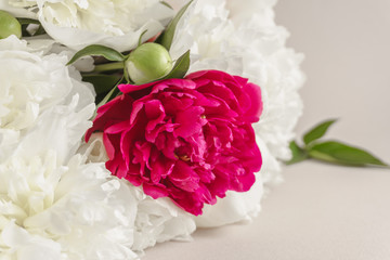 Bouquet of peonies close-up.