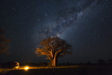 Camping under baobab's and milkyway - obrazy, fototapety, plakaty