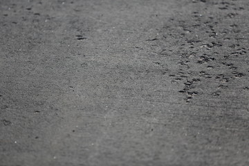 Concrete texture. Close up