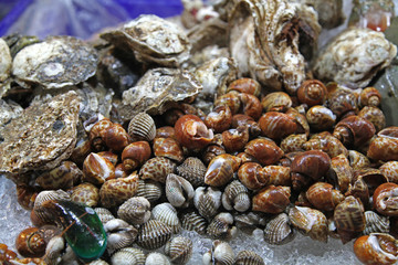 fresh seafood shellfish crustacean ice frozen in market closeup