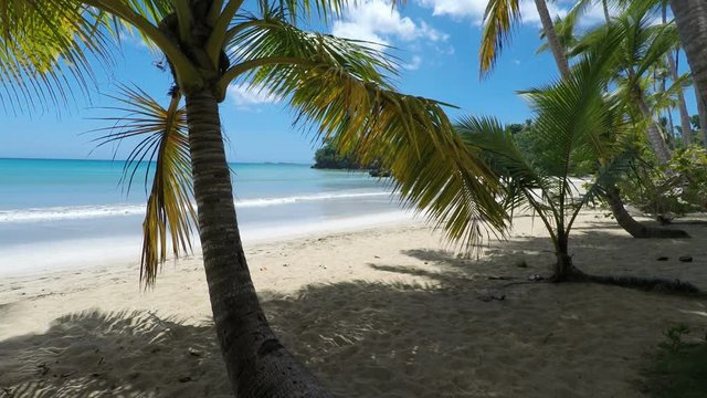 amazing caribbean beach playa grande in the dominican republic