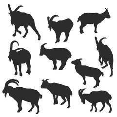 vector set of rams