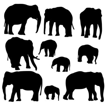 vector set of elephants