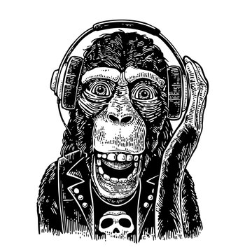 Monkey rocker in headphones and t-shirt with skull. Vintage engraving