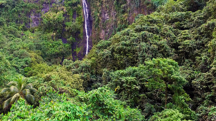vu aérienne d'une forêt tropicale avec cascade en polynésie 