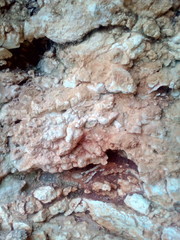 Felsformation an Steilküste Klippe am schwarzen Meer im Frühling, Bulgarien