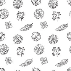 Hand drawn floral seamless pattern. Black and white.Vector illustration.