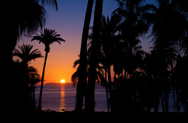 Romantic Tropical sunset on beach with palm trees in Baja California