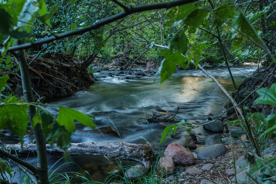Shaded Oak Creek on a Summer Day in Sedona Arizona