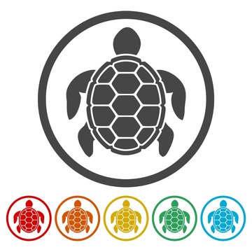 Turtle Icons set Flat Graphic Design - Illustration 