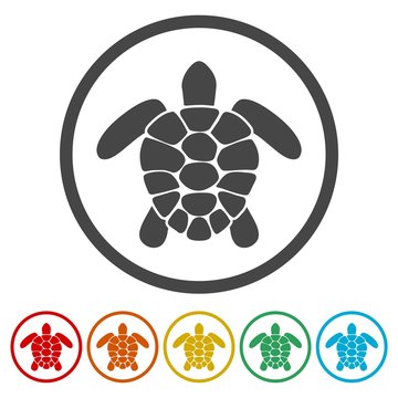 Turtle Icons set Flat Graphic Design - Illustration 