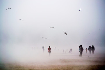 Standing in fog with birds in the sky