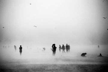 Blurred fog with birds in the sky