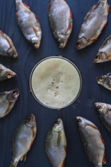 Beer and dried fish. Russian snack .