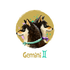 Digital art illustration of astrological sign Gemini. 2018 year of dog. Third of twelve zodiac signs. Horoscope air element. Logo sign with twins. Graphic design clip art for web, print. Add any text