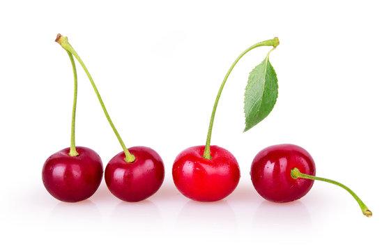 Four ripe cherries on a white background