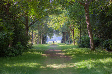 Fototapeta na wymiar Lover's Lane. Romantic countryside forest walk on a summer's day.
