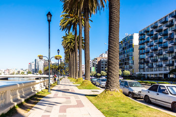 Obraz premium La Marina embankment in Vina del Mar, Chile