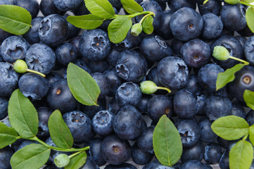 Fresh blueberries