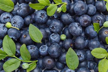 Fresh blueberries