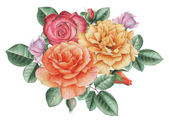 Hand painted watercolor charming combination of Flowers and Leaves, isolated on white background