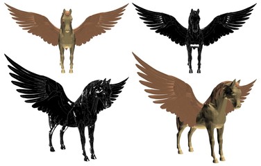 Pegasus Horse With Wings Isolated Illustration Vector 