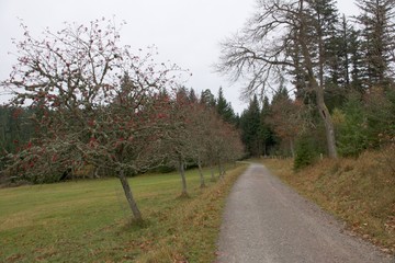 Obraz premium Outdoor, Freizeit, Alpen, Wandern, Bergsteigen