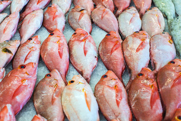 poisson sur marché, polynésie 2017