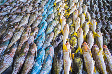 Obraz premium poisson sur marché, polynésie 2017