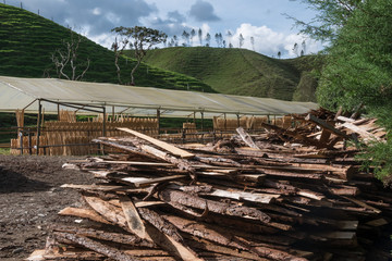 Sawmill