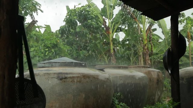 Rain falls on the jar