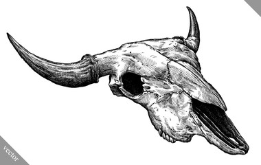 Engrave isolated cow skull hand drawn graphic vector illustration