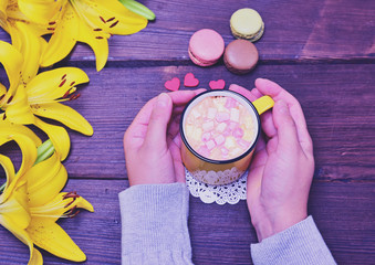 hot chocolate with marshmallow in a mug