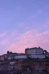 Fototapeta na wymiar Pink Porto