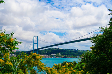 Bosphorus bridge in the spring; Blue Sky and Green