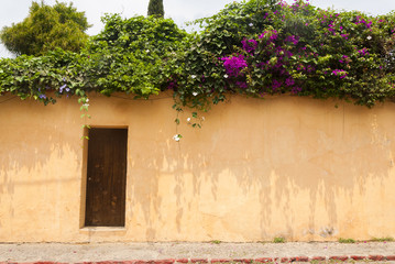 Window and wooden door in colonial house of La Antigua Guatemala, Central America.