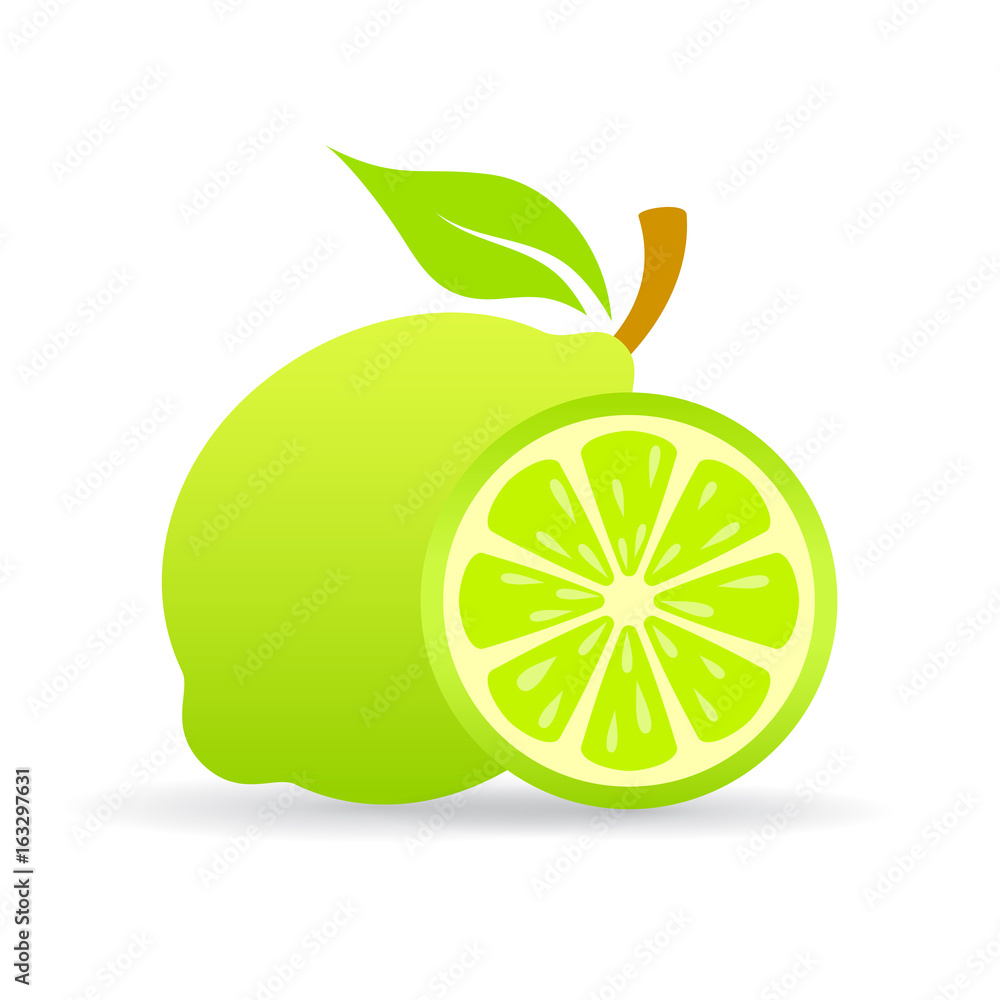 Wall mural lime slice vector icon - Wall murals
