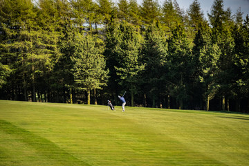Obraz premium Man Playing Golf on Green Golf Course Hitting Golf Ball down, Golfer on green golf field with trees and blue cloudy sky in background